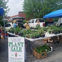 Swansea Farmers Market